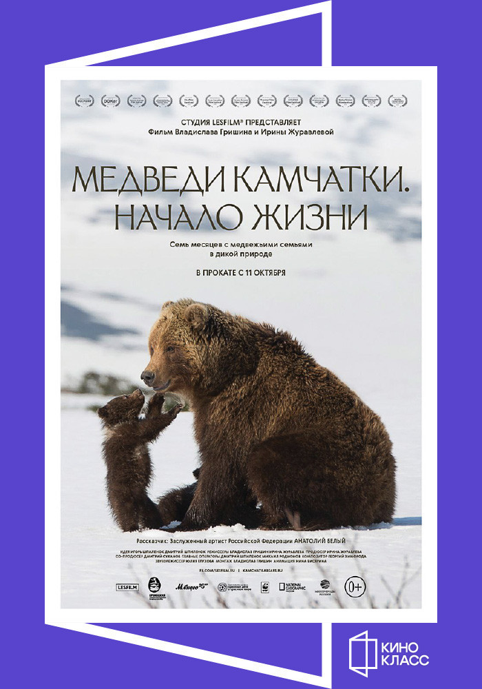 Медведи Камчатки. Начало жизни